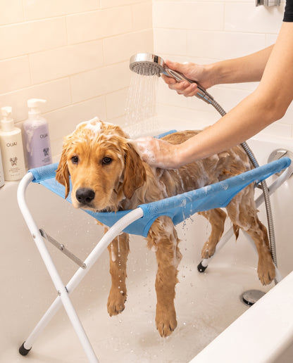 Bañando a un perro en el Soporte PatiZen
