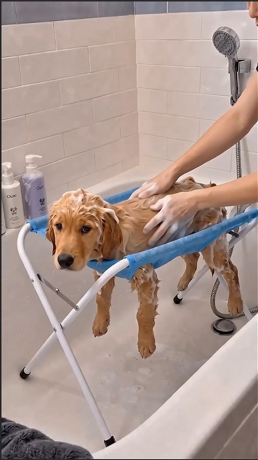 Perro con las patitas en los orificios del Soporte PatiZen