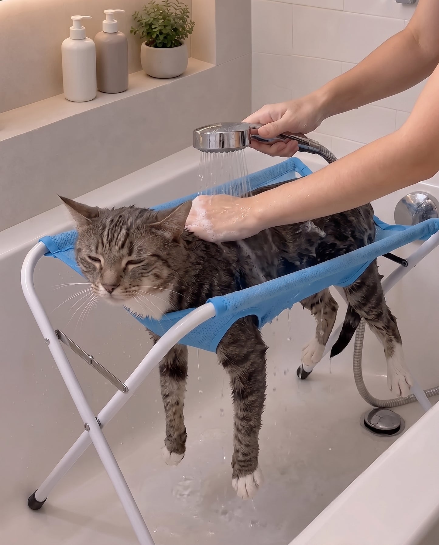 Bañando a un gato en el Soporte PatiZen